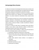 Señala que la constitución humana descansa en 2 sistemas: el visceral y el de la vía de relación nerviosa y muscular, de donde se extraen 2 tipos: el brevilineo y el longilineo