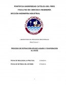 PROCESO DE EXTRACCIÓN SÓLIDO-LIQUIDO Y EVAPORACIÓN AL VACÍO