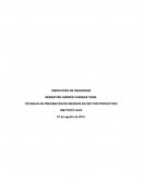 INSPECCIÓN DE SEGURIDAD. TÉCNICAS EN PREVENCIÓN DE RIESGOS EN SECTOR PRODUCTIVO