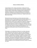 Varices en miembros inferiores