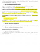 Desarrollo de El sistema digestivo