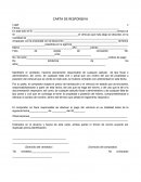 CARTA DE RESPONSIVA
