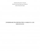 Proyecto ENFERMEDADES TRANSMITIDAS POR LA GARRAPATA A LOS SERES HUMANOS