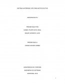 Informcion SISTEMA ANTIRROBO GPS PARA MOTOCICLETAS