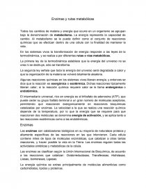 Enzimas. Página 1