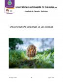 CARACTERÍSTICAS GENERALES DE LOS HONGOS