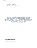 CRECIMIENTO DE PATÓGENOS EN HORTALIZAS PARA CONSUMO FRESCO “LECHUGA EN CHILE”