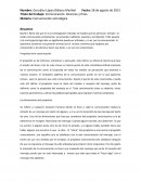 Que es la comunicación