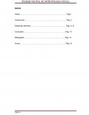 El Desarrollo Rural debe entenderse como un proceso de modificación hacia el mejoramiento de vida de la población campesina.