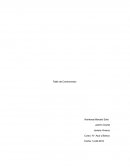 Como es Qué argumentos entrega el texto en relación al documento?