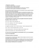 Actividad Integradora Quimica Reacciones químicas que intervienen en el calentamiento global