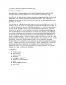 U.S. National Herbarium, Smithsonian Institution (US)