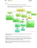Después de leer el caso, elabora un esquema que destaque las ideas centrales de la lectura y explícalas brevemente con tus palabras.