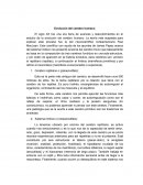 Evolución del cerebro humano