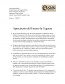 Ensayo sobre el libro la ceguera