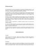 Toyota microentorno y macroentorno