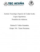 Actividad #1. Algoritmo para tomar fotografías