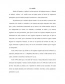 Como se puede Hablar de Papantla, es hablar de selvas tropicales, del indígena totonaco