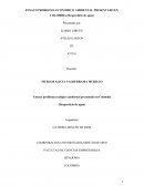 Problema ecologico y solucion