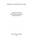DETERMINACION DE LA DENSIDAD DE SOLIDOS Y LIQUIDOS. QUIMICA Y LABORATORIO
