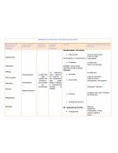 Análisis Crítico de la Realidad