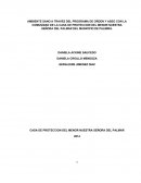 CASA DE PROTECCION DEL MENOR NUESTRA SEÑORA DEL PALMAR