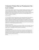 Volumen Fisico De La Produccion De Los Costos