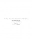 Funciones y objetos de la Superintendencia de Electricidad y Combustibles