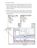 Diseño y optimización mediante Plant Simulation