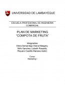 PLAN DE MARKETING “COMPOTA DE FRUTA