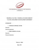 Desarrollo cultural y desarrollo del medio ambiente