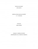 PROYECTO DE GRADO RECILLANTAX