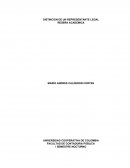 DISTINCION DE UN REPRESENTANTE LEGAL