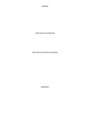 Informe DEFENSA COMERCIAL