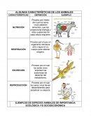 ALGUNAS CARACTERÍSTICAS DE LOS ANIMALES