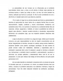 Champu ecologico