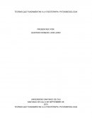 Teorias fundamentales de la fisioterapia