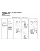 PLAN DE MEJORAMIENTO DE LOS APRENDIZAJES