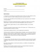 Caso idiomas marketing