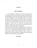 Mapa Mental. Las causas de la delincuencia juvenil