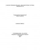 CASO DE CONSOLIDATED LIFE: ATRAPADO ENTRE CULTURAS CORPORATIVAS