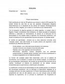 ZOOLOGIA Phylum Apicomplexa