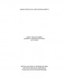 UNIDAD PRODUCTIVA COMO SISTEMA ABIERTO