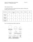 Práctica II Química Orgánica