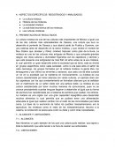 La cultura mixteca