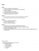 ¿Qué es la influenza y qué lo produce?