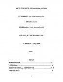 Ante - Proyecto del cilantro