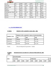 PROYECTO: BIO CARNES “NO SOMOS COMPETENCIA SOMOS PREFERENCIA”. Página 15