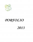 Porfolio atención a la sobreedad y repitencia