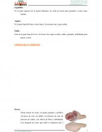 PROYECTO: BIO CARNES “NO SOMOS COMPETENCIA SOMOS PREFERENCIA”. Página 38